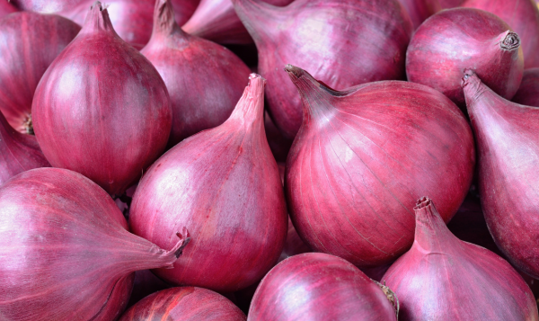 Red Onion Export from India