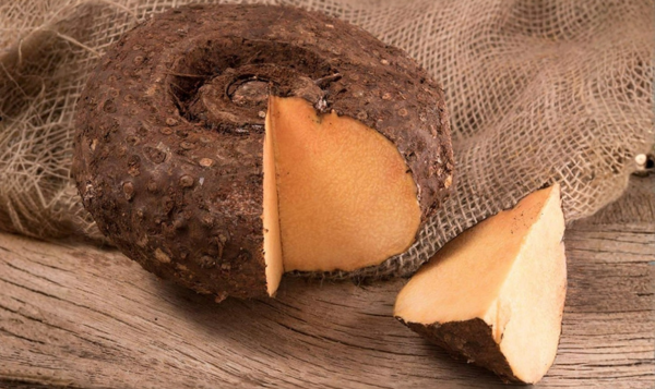 Suran Yam Export from India