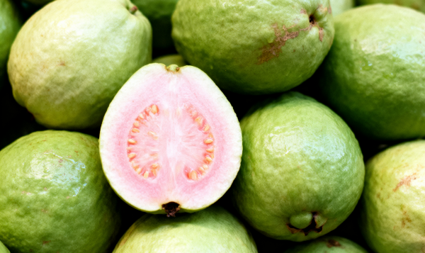 Guava Export from India