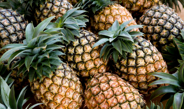 Pineapple Export from India