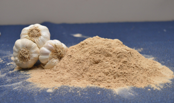 Garlic Powder Export from India