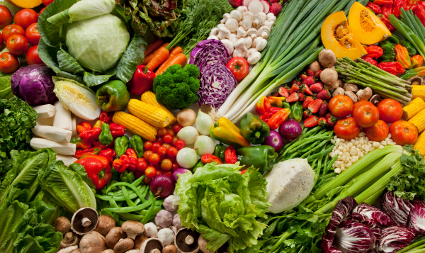 Fresh Vegetables Export from India