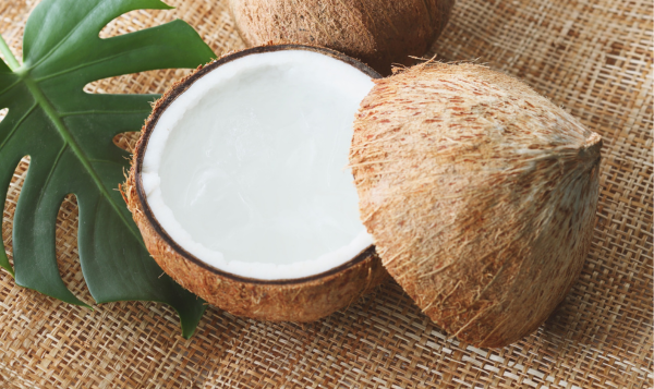 Fresh and Dry Coconut Export from India