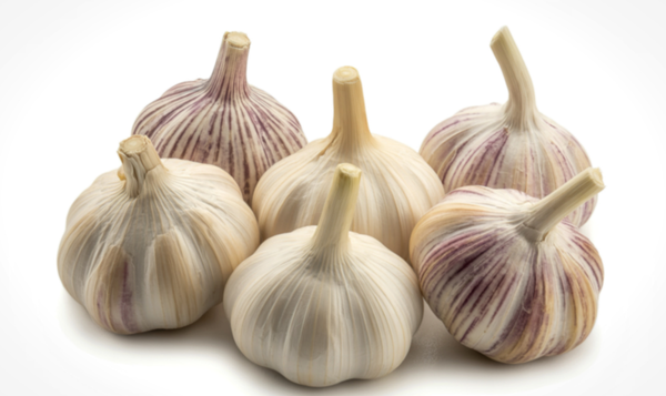 Garlic Export from India