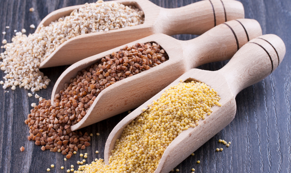 Agriculture Products Export