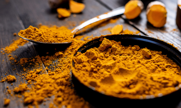 Turmeric Powder and Extract Export from India
