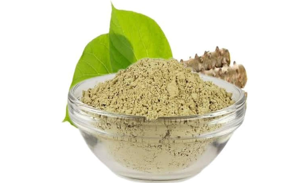 Giloy Powder Export from India