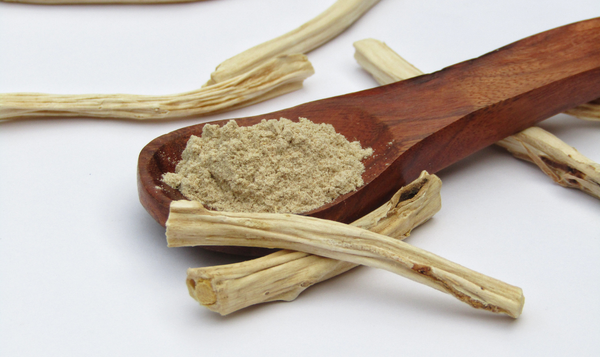 Shatavari Root Export from India