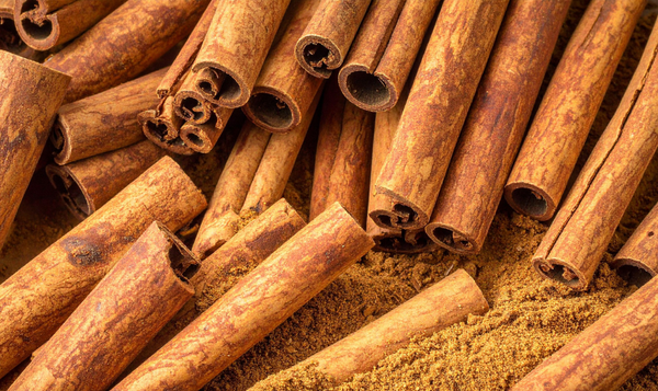 Cinnamon Dalchini Export from India